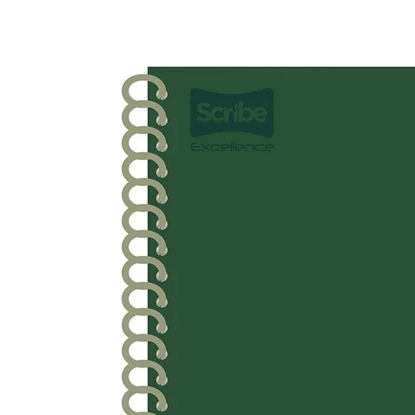 CUADERNO PROF. EXCELLENCE SCRIBE 9490 RAYA ESP.200H. C12